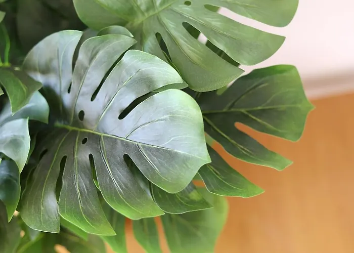 Seaside Wish Apartment